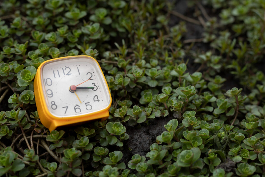 The History Behind Daylight Saving Time